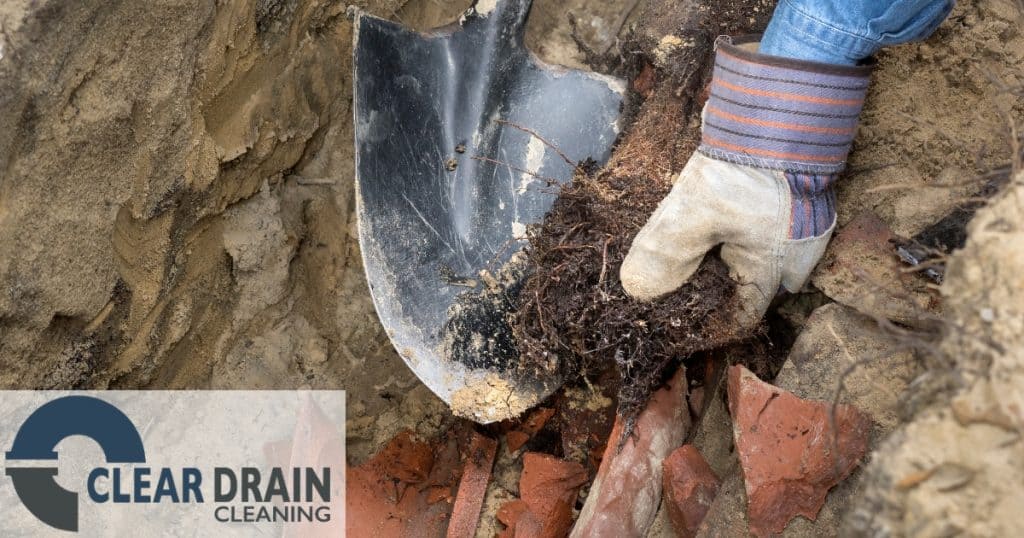 Image of roots being pulled from clay pipe
