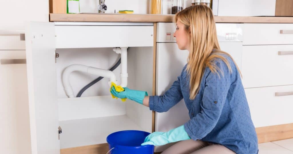 Image of woman cleaning under sink