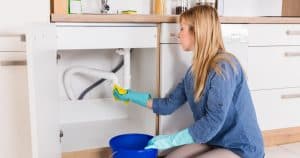 Image of woman cleaning under sink