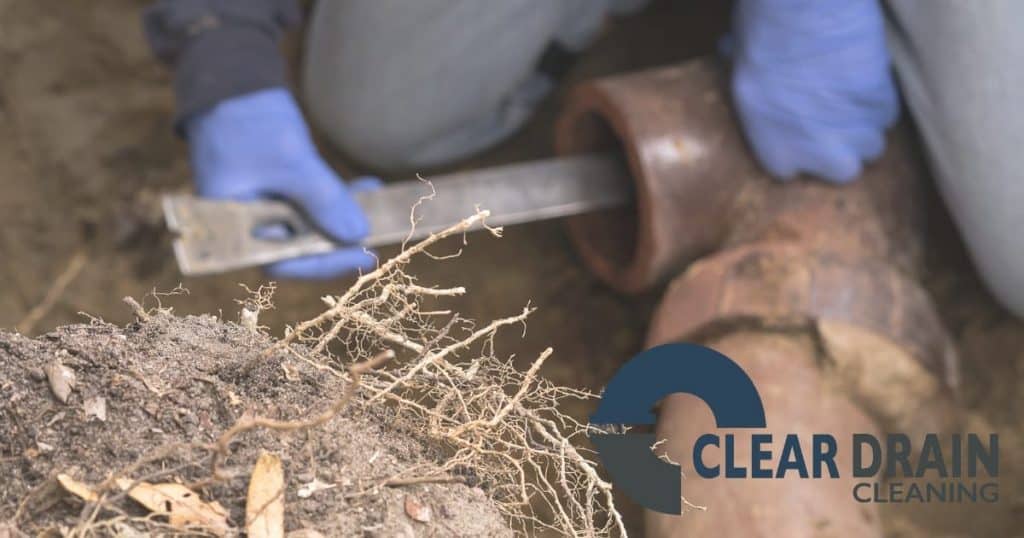 Image of man removing tree roots from underground pipe.